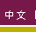 中文